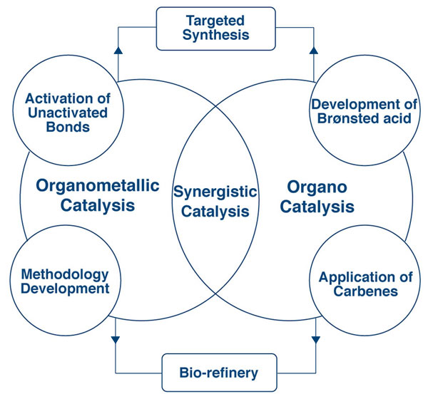 Research Overview