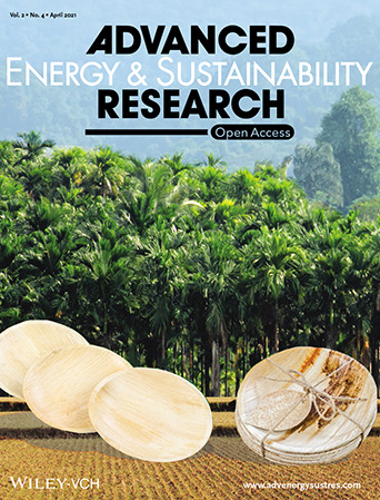 Coating on areca leaf