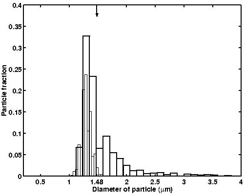 size distribution