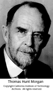 Thomas Hunt Morgan