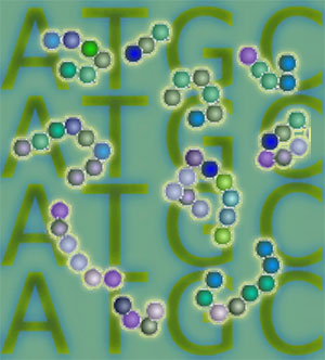 DNA and proteins are key molecules of the cell nucleus.