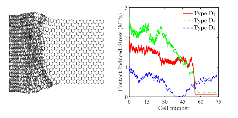 Dynamics Honeycomb