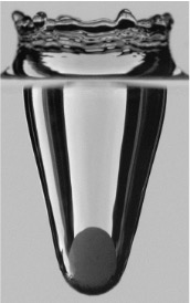 A hydrophobic particle entering liquid, with an air cavity surrounding its wake