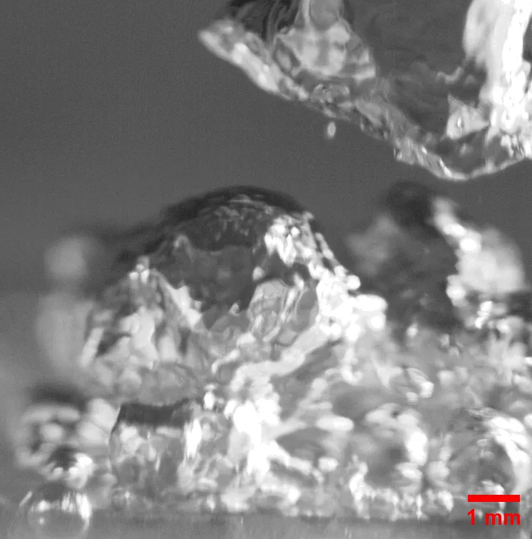High-speed microscopy of pool boiling at a heat flux of 44.5 watts per square centimetre