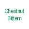 Chestnut Bittern