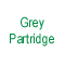 Grey Partridge