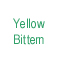 Yellow Bittern